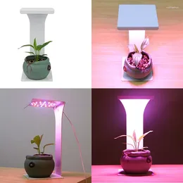 Grow Lights Indoor USB LED Light Desk Lamp Timer Phyto Full Spectrum Plant For Succulent Flowers Cactus IR VU
