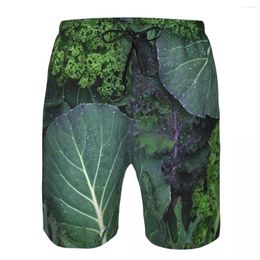 Men's Shorts Men Sports Athletic Running Sport Fitness Beach Basketball Jogging Man Loose Short Pants Leaves Of Kale Cabbage