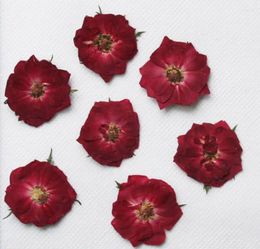 Decorative Flowers 120pcs Pressed Dried Rose Flower Plants Herbarium For Epoxy Resin Jewelry Making Bookmark Phone Case Face Makeup Nail Art