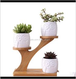 Planters Pots Simple White Succulent Plant Flower Holder Ceramic Owl Pumpkin Pattern Treetop Shaped Bamboo Shelf Pot Planter Set T1558317