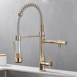 Black and Golden Brass Pulling Kitchen Sink Faucets Dual Outlet Water-Cold Washing Basin Tap Deck Mounted Spring Mixer Taps 240508