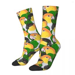 Men's Socks Hip Hop Vintage Caique Parrots Crazy Cute Bird Animal Unisex Harajuku Pattern Printed Happy Crew Sock Boys Gift