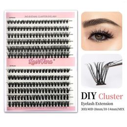 False Eyelashes 240 PCS Individual DIY Lash Extensions Kit Manga Lashes Clusters 8-14MM Natural Segmented Wispy Large Capacity