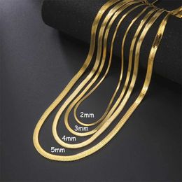 Chains Skyrim Stainless Steel Snake Chain Necklace for Women Men Gold Colour Herringbone Choker Neck Chains 2024 Trend Jewellery Gift Hot d240509