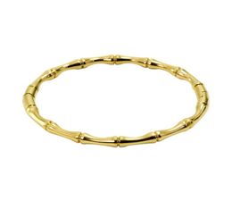 Women039s Stainless Steel Bangles Popular Dubai Female Bamboo Bracelets Charms For African Jewelry Christmas Gift Female Weddin4487565