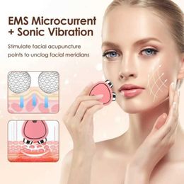Home Beauty Instrument EMS Mini Portable Facial Weight Loss Massager Micro current Delicate Profile Enhancement Enhanced Skin Care Q240508