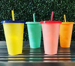 710ML Temperature Color Changing Cold Cups Plastic Reusable Magic Tumbler Juice Coffee With Straws Drink Water Bottle 1PC4564671