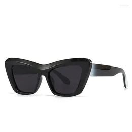 Sunglasses Vintage Cat Eye Woman Retro Brand Cateye Shades Sun Glasses Polarised Mirror Plastic Frame Designer With Box