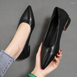 Dress Shoes 2024 Spring/Summer/Autumn Flat Bottom Casual Single Women's Thick Heels Work Not Tired Feet Small Leather