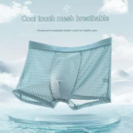 Underpants Ice Silk Mesh Men's Underwear Summer BoxersAll Over Network Plussize Thin Youth Pants Breathable Boxers Transparentes Hombre