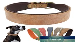 Wide Leather Dog Collar Large Soft Padded Pet Collars Perro For Medium Pitbull German Shepherd Bulldog XL 2XL3440822