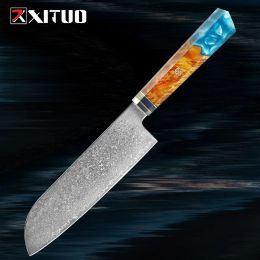Professional Santoku Knife Japanese VG 10 Steel Damascus Kitchen Santoku Chefs Knife Super Sharp Cleaver Knife Chef knife