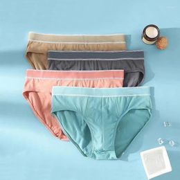 Underpants 4Pcs/lot Sexy Briefs Man Underwear Cotton Panties Solid Calcinha Fit And Comfortable Male Shorts U Convex Lingerie