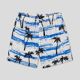 Men's Shorts Mens Swim Trunks Short Funny Swimming Shorts Bathing Suit with Mesh Liner Y240507