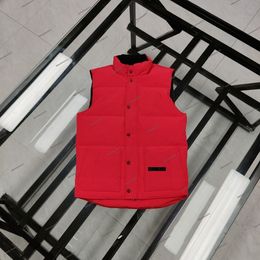 2024 Новый жилет Mens Gilet Designer Designer Jacker Вышитый Значок вниз по женщинам-наполненным перьев Графит серый черно-белый синий поп-пары размер пальто XS-XXL Red