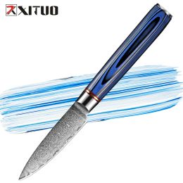 Damascus Paring Knife 3.5 Inch Professional Japanese Utility Knife Blue G10 Handle Ultra Sharp Fruit Carving Knife Kitchen Cut