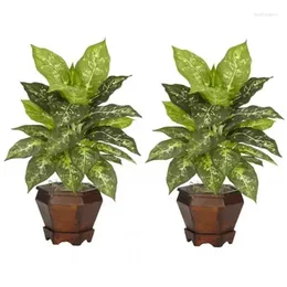 Vases Dieffenbachia With Wood Vase Artificial Plant Set Of 2 Variegated