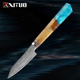 Damascus Paring Knife Fruit Knife 4 Inch Pro Kitchen Knife Japanese Damascus Steel Fruit Carving Knife Blue Resin Octagonal Wood Handle