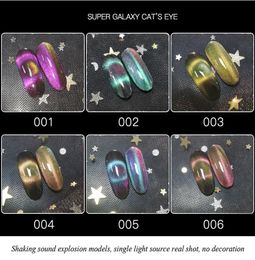 9D Cat Eye Gel Nail Polish Set Galactic Effect Magic Gel Nail Polish Kit 6 Colors UV LED Auroras Gel Polish3188952