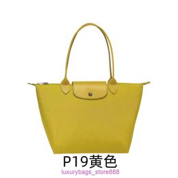 Designer Bag Stores Are 95% Off French 70th Anniversary Classic Shoulder Handbag Underarm Folding Tote Waterproof MommyDZLK