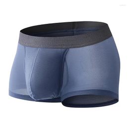Underpants Men Trunks Bulge Pouch Boxer Ultrathin Ice Silk Boxers Breathable Panties Summer Cool Knickers Calzoncillo