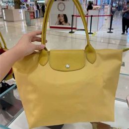 Luxury Brand Discount Shoulder Bag Tote New Bag Nylon Embroidered Dumpling Bag Single Shoulder Bag Handbag Folding Underarm Bag Tote Womens BagWZAF