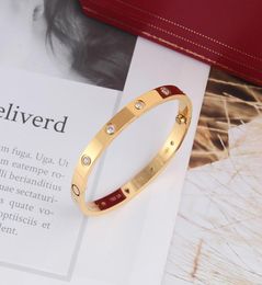 10 WhiteClear Stones Love Bracelets Bangles for Women Men 316L Titanium Steel Jewelry With Screwdriver 16cm19cm6441843