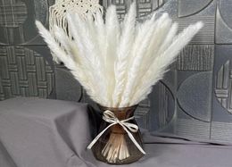 30PCS Dekoration Natural Dried Flowers Pampas Grass Real Artificial Plants Wedding Bunch Christmas Decorations For Home Decor281964385962