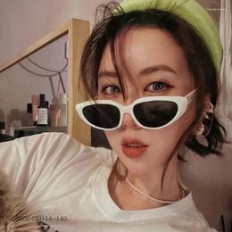 Sunglasses 2024 Rectangle Gradient Vintage Glasses For Women/Men Cat Eyes Fashion Showcase UV400