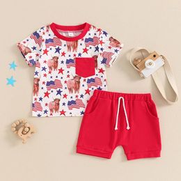 Clothing Sets CitgeeSummer Independence Day Toddler Baby Boys Shorts Set Short Sleeve Print T-shirt Elastic Waist Outfit Clothes