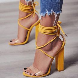 High Heel Sandals Transparent Fashion Luxury Designer Thick Heel Women Shoes Lace up Sexy Wedding Shoes Sandals 285w