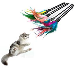 Cat Toys Feather Wand Kitten Cat Teaser Turkey Feather Interactive Stick Toy Wire Chaser Wand Toy Random Colour DH88889856053