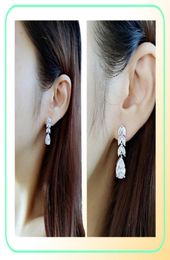 Choucong Brand New Luxury Jewellery 925 Sterling Drop Water Earring White Clear 5A Cubic Zirconia Party Tree Women Wedding Dangle Ea9641477