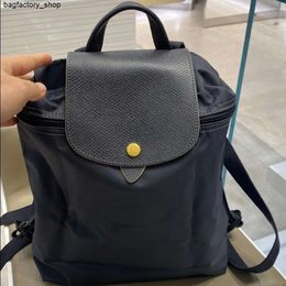 Luxury Handbag Designer Backpack Shoulder Bag Backpack Lightweight Foldable Backpack College Computer Bag Embroidered Small Backpack with Colors FashionXPEH