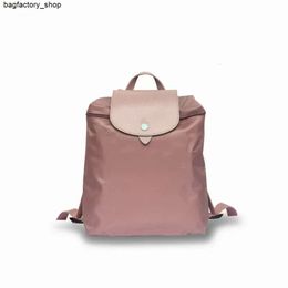 Luxury Handbag Designer Backpack Shoulder Bag Backpack Lightweight Foldable Backpack College Computer Bag Embroidered Small Backpack with Colours FashionXYNE