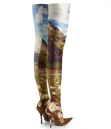 Boots Sexy Natural Scenery Satin Stretch Thigh Thin High Heels Pointed Toe Landscape Socks Woman Over Knee