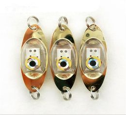 LED Night Fishing Light Hooks Deep Drop Underwater Eye Shape Fishing Squid Fish Lure Light Flashing Lamp1143546