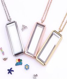 Mixed 10pcslot Upright rectangle Floating Charm plain Locket Magnetic Living Glass Memory Locket necklace women christmas gifts2402832