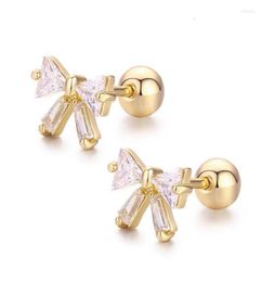 Stud Cute Mini Bowknote Set CZ Stones Screw Back Earrings For Women Baby Kids Girls Rose Gold Color Piercing Jewelry OorbellenStud7717579