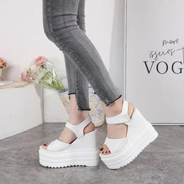 Dress Shoes 14cm Spring And Summer Korean Version Of Women's Sandals Fish Mouth Wedge Heel Thick Bottom High-Heeled Slippers