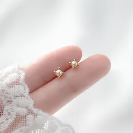 Stud Earrings Tiny Pearl Cartilage Piercing Jewelry For Women Girl