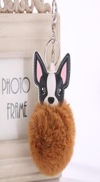 y Artificial Rex Rabbit Fur Keychain Chihuahua Dog Key Chain Women Pompom Ball Keyring Car Pendant Bag Charm Jewelry7286882