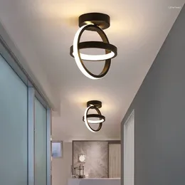 Ceiling Lights Modern LED Lamp Lustre Indoor Light For Living Room Hallway Kitchen Chandelier Fixture Bedroom