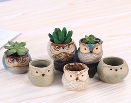 Cartoon Owlshaped Flower Pot for Succulents Fleshy Plants Flowerpot Ceramic Small Mini HomeGardenOffice Decoration HH78565273162
