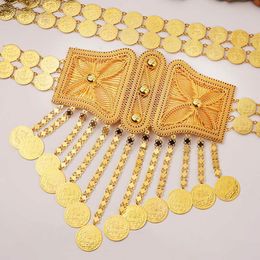 Classic luxury Arab Dubai Prince Wedding Waist Chain Luxury Gold Turkey Totem Coins Saudi Noblewoman Belt TopSelling 271Q