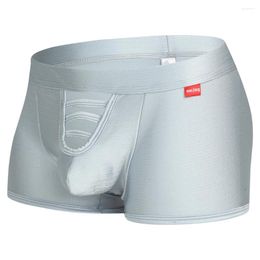 Underpants Mens Boxers Trunks Cock Hollow Breathable Panties Scrotum Bulge Shorts Underwear Low Waist Erotic Lingerie Gay Bikini