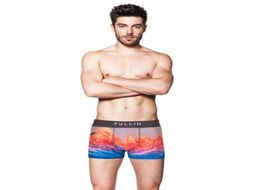 Men039s Underwear PULLIN Mens boxers 07 new style Breathable mens Underpants pull in Designer French brand 3D printing fashion8666917