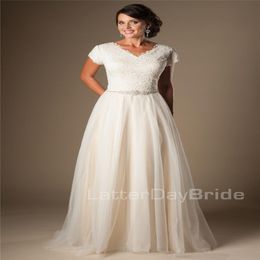 Modest Champagne Short Sleeves Wedding Dresses Cap Sleeves V Neck Buttons Lace Tulle Bridal Gowns A-line Inexpensive Wedding Gowns 263f