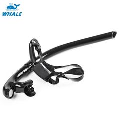 New Arrival Whale Diving Swimming Tube Centre Snorkel With PC TPR Multi Colour Special tube Dving Mask Snorkel 4 Colors83557422719777