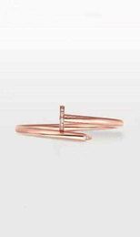 Thin Small Model Slim Nail Bracelets Bangles for Women Men Cubic Zirconia 316L Titanium Steel Jewelry Designer Jewelry2061082